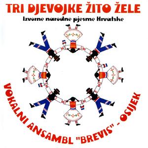 Kolovođo materina rano