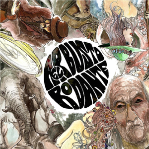 Lágrimas de Cocodrilo