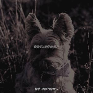 微妙的可爱的狗心情