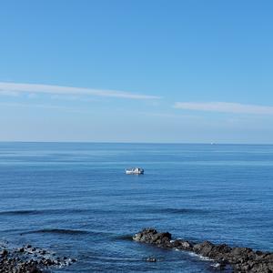 밖에 내리는 비 처럼