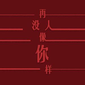 再没人像你一样