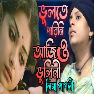 ভুলতে পারিনি আজও ভুলিনি