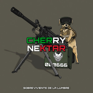 El Pekas 35