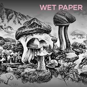Wet Paper