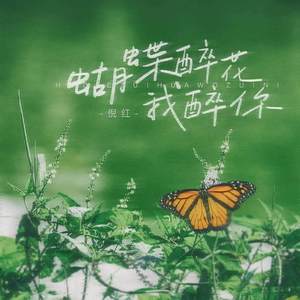 蝴蝶醉花我醉你