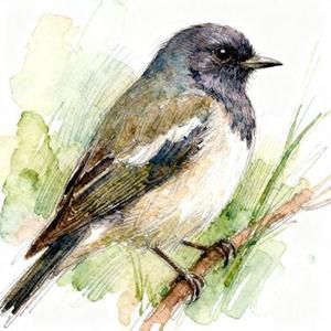 甲乙 (Cover 王佳音)