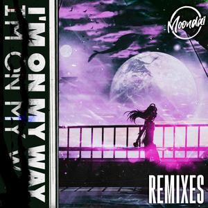 I'm on My Way (Lizard Remix) (Lizard Remix)