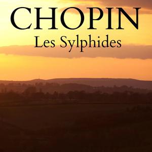 Les Sylphides: C Sharp Minor Waltz, Op. 64, No. 2