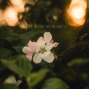 A Life with No Regrets