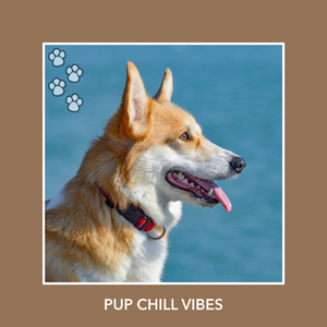 Warm Pup Play