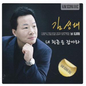 내 청춘을 잡아라