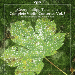 Violin Concerto in F Major, TWV 51:F3:II. Allegro