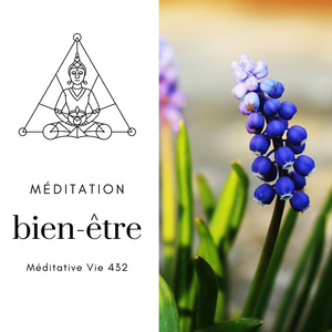 Musique très apaisante (Vagues de l'océan)