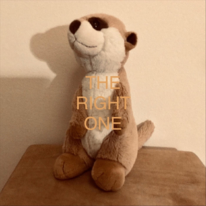 The Right One