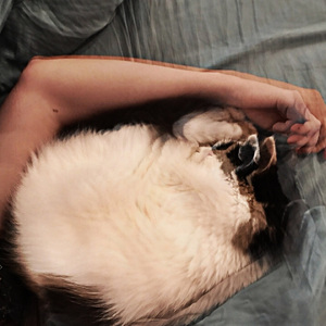 Поздняя вода