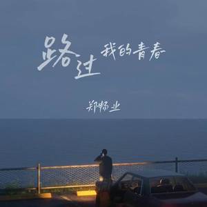 路过我的青春
