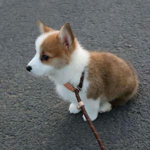 视频提取音频_一不小心1671100485957