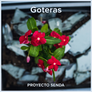 Goteras