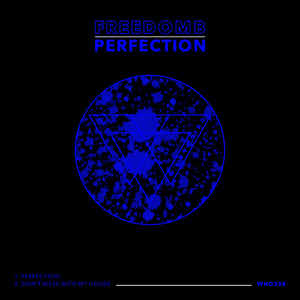 Perfection (Original Mix)