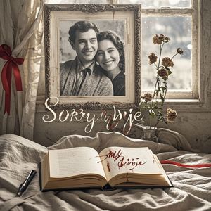 对不起我的妻-向 阳