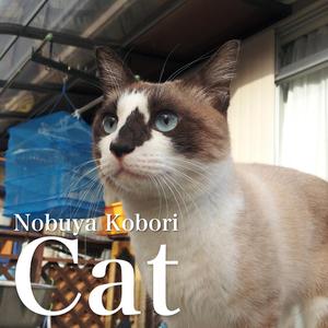 Parisienne (DX-7 Electric Piano Version) (DX-7 Electric Piano Version)