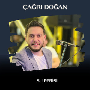 Su Perisi