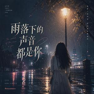 雨落下的声音都是你
