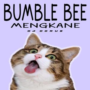 DJ BUMBLEBEE MENGKANE
