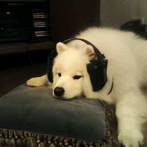 ''爱痕'' 旋律孟菲斯&SadPiano&SampleVocals type beat