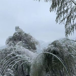 冰雪世界（2