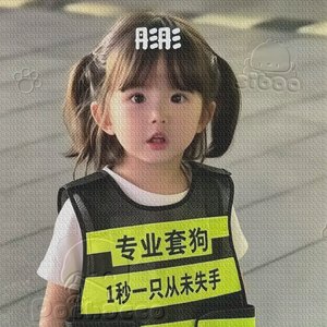李思彤专属