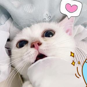 金海路2360-上海时刻（纯音乐）