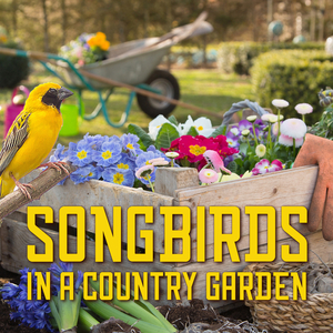 Songbrids in a Country Garden (Part 2)