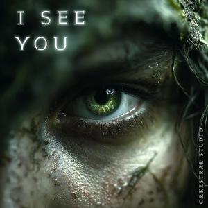 Seer (I See You)