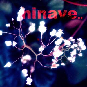 NINAVE