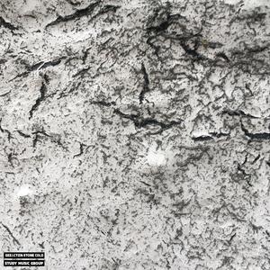 MrNiceGuy (feat. DJ Halo)