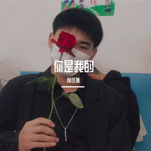 你是我的