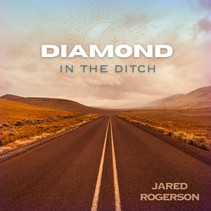 Diamond In The Ditch