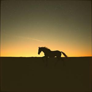 El Caballo del Rancho by @tropicalman