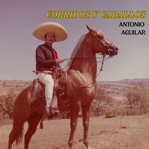 El Potro Lobo Gateado (La Yegua Colora)
