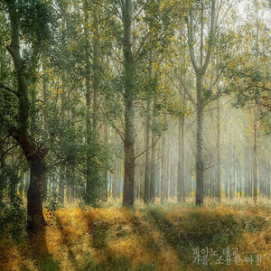 가을, 조용한 아침