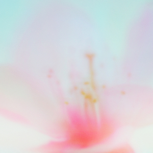 青い春に (Re-recorded)