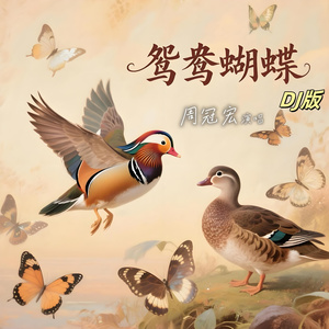 鸳鸯蝴蝶 (Dj版)