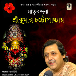 Shri Narayani Stuti