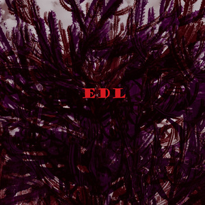 Esteban D'yavol Larch