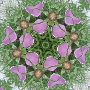 A way to transcend beyond what we know