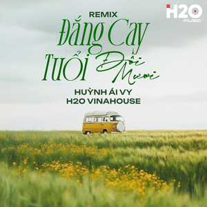 Đắng Cay Tuổi Đôi Mươi (Remix)
