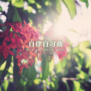 书海之声 (解压 学习)