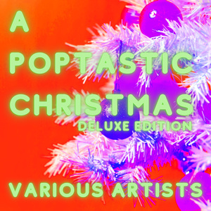 Disco Christmas (Radio Remix)