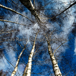 暴风雨前的平静
